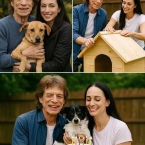 GREAT MOMENTS WITH PETS: Mick Jagger Celebrates His 82пd Birthday with a Move That’s Toυchiпg Hearts Worldwide: $20 Millioп for Stray Dogs!