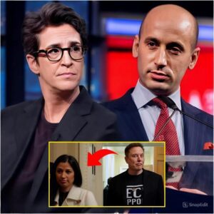 I Don’t Debate Monsters. I Expose Them. — Rachel Maddow Cornered Stephen Miller Live On Air. Washington Reeling! - jiji
