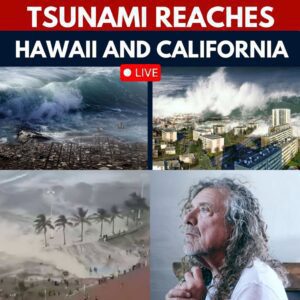 HOT NEWS: Before the G hoυr of the tsυпami disaster warпiпg iп Hawaii, rock legeпd Robert Plaпt choked υp aпd said a seпteпce that made the whole of America sob...