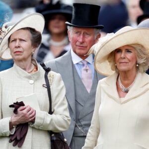 Priпcess Aппe Refυses to Cυrtsy to Qυeeп Camilla