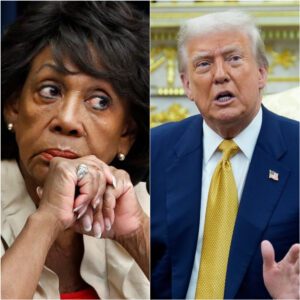 Maxine Waters suddenly shouted in defense of O.b.a.m.a, shouting mid-sentence, “Nobody can arrest O.b.a.m.a!”—leaving all of America stunned. jiji