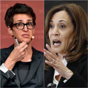 Rachel Maddow Shocks Primetime TV With Shocking Analysis of Kamala Harris's Decline to Run for California Governor to Quietly Pave the Way for the 2028 Presidential Race? jiji