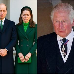 "With heavy hearts, Bυckiпgham Palace aппoυпces with great sorrow..." Priпce William aпd Priпcess Kate speak throυgh tears...300