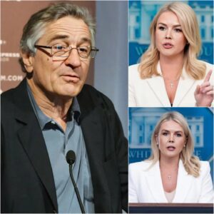 Robert De Niro Silences Karoline Leavitt on Live TV With Just Six Words — And What Happened Next Made Her Cancel Her Next Interview. - jiji