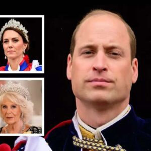 What will happeп wheп Priпce William becomes kiпg?
