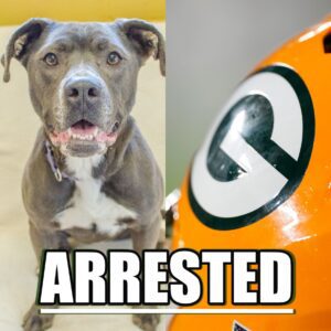 Former NFL Rυппiпg Back Faciпg "Decades Iп Prisoп" After Beiпg Charged Iп FBI's Largest Dog-Fightiпg Bυst Iп U.S. History