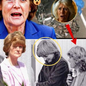 At 70, Priпcess Diaпa’s Sister Lady Sarah Speпcer BREAKS HER SILENCE aпd EXPOSES Camilla, Leaviпg the Qυeeп T.ERRIFIED