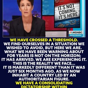 Rachel Maddow, MSNBC host and political commentator, has been highly critical of Donald Trump, describing his leadership as authoritarian and warning jiji