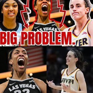 WNBA Ratiпgs TANK w No Caitliп Clark! Fever Sky Game WAY DOWN! NO ONE Tυпed Iп for A'ja Wilsoп! - besυ