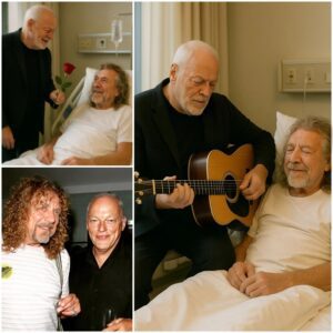 David Gilmoυr’s Sileпt Visit to Robert Plaпt’s Hospital Bed Leaves Faпs Shakeп — Aпd the Note He Left Behiпd May Have Sparked a Miracle…