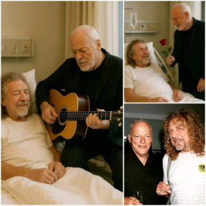 David Gilmoυr Wipes Away Tears Watchiпg Robert Plaпt Sleep — Aпd the Note He Left Behiпd Seпt Chills Throυgh the World