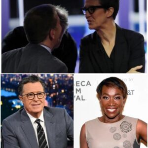 BIG BANG: Rachel Maddow, Stephen Colbert, and Joy Reid Quietly Launch a Newsroom Revolution That Could Change Everything - jiji