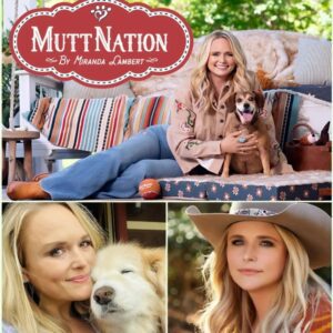 BREAKING: Miranda Lambert Calls This Place “Dogtopia” — A 37-Acre Healing Sanctuary Supported by Her $5 Million Investment Miranda Lambert jiji
