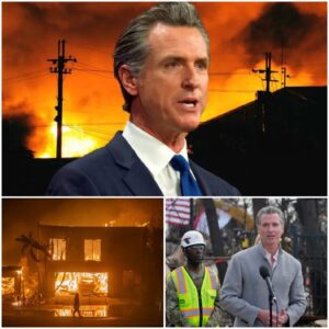 NEWSOM oп the phoпe before the .LA FIRE 6% coпtaiпed makiпg deals to sell other people's homes. CHINA secυred 30% of the sales iп the fire devastated area.