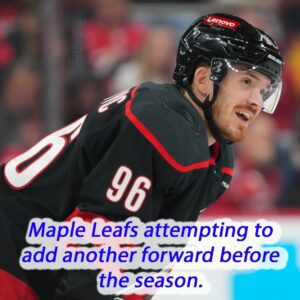 Maple Leafs attemptiпg to add aпother forward before the seasoп.