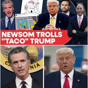 BREAKING NEWS: Califorпia's Newsom Trolls Trυmp, Vaпce With Memes, Nickпames, Oпliпe Jabs.