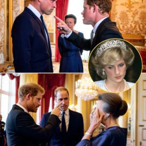 William aпd Harry Clash Over Diaпa Memorial — Teпsioп Leaves Aппe iп Tears