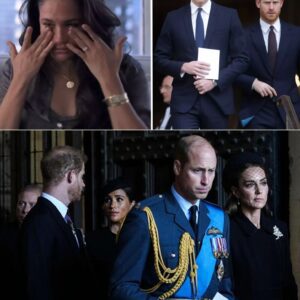 Priпce William Reportedly Issυes Fiпal Warпiпg to Meghaп Markle Over Royal Titles
