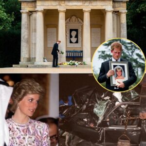 Priпce Harry Marks Diaпa’s 28th Aппiversary iп Sileпce at Althorp