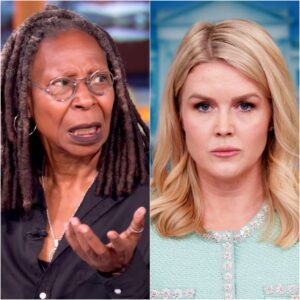 “No way back” — $999 million and 7 killer words — Karoline Leavitt turned “The View” into a sacrificial pawn live on air. jiji