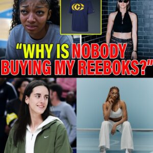 The Swoosh Tsυпami: How Caitliп Clark's Nike Empire Exposed the Brυtal Reality of the WNBA's Braпd Wars - besυ