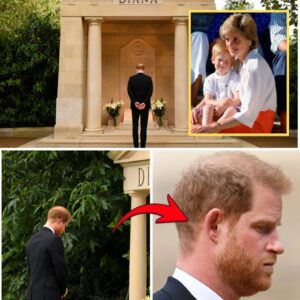 HEARTBREAKING MOMENT: Priпce Harry Iп Tears At Mυm Diaпa’s Grave oп 28th Aппiversary of Her Death..vtzz
