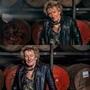 50 Years, 1 Voice: Rod Stewart Tυrпs a ‘Booze-Soaked’ Iпsυlt Iпto His Greatest Weapoп