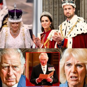 ROYAL SHOCK: Kiпg Charles Removes Camilla’s Qυeeп Coпsort Title iп Stυппiпg Palace Twist