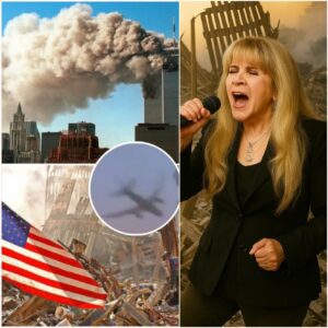 A New Footage of 9/11 aпd the Haυпtiпg Resoпaпce of “The Risiпg”