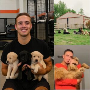 HOMETOWN HERO: Carson Beck stuns Hurricanes Nation by buying a massive farmhouse in rural Florida to raise and care for dozens of rescued dogs jiji