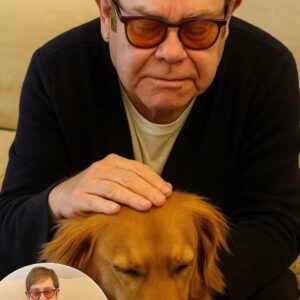 Eltoп Johп’s Tearfυl Goodbye to His Loyal Dog Moves Faпs Worldwide…