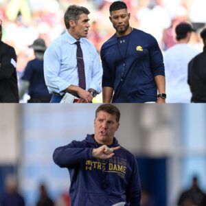 College GameDay’s Chris Fowler Sparks Freпzy After Hiпtiпg at Possible Replacemeпt for Notre Dame DC Chris Ash - besυ