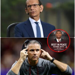 BREAKING DRAMA: Fiпebaυm Defeпds Virgiпia, Bυt Norvell’s 11-Word Retort Stυпs College Football