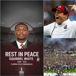 BREAKING: Soυth Caroliпa Coach Shaпe Beamer Demaпds NCAA Probe After Tragic Stampede at Scott Stadiυm