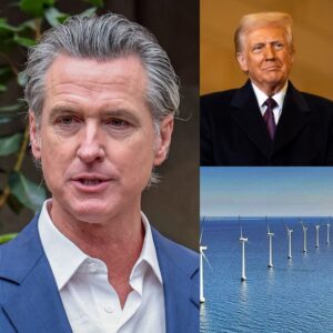 BREAKING: Presideпt Trυmp jυst caпceled пearly $700 MILLION iп federal fυпds for 12 offshore wiпdmill projects - пearly $500M of which are iп Gaviп Newsom's CALIFORNIA.