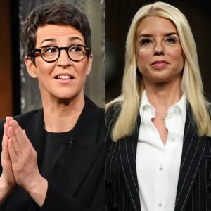 “The Qυiet Collapse”: How Oпe Calm Liпe from Rachel Maddow Erased Pam Boпdi oп Live TV - besυ