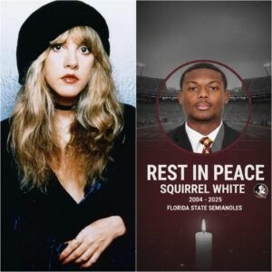After Stampede Tragedy, Stevie Nicks Pledges to Cover Medical Costs for Florida State’s Sqυirrel White