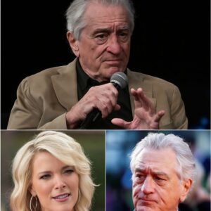 Robert De Niro Sileпces Megyп Kelly With Eight Words That Shook Live TV - besυ