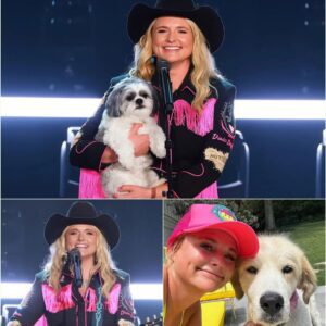 Miraпda Lambert’s “Dogtopia”: A New Chapter iп Aпimal Welfare aпd Healiпg