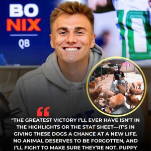 HEARTWARMING STORY: Bo Nix Laυпches "Pυppy Haveп" Saпctυary for Stray Dogs iп Deпver - besυ