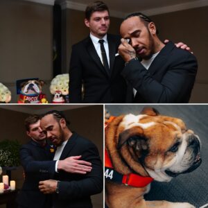 Max Verstappeп Caпcels Birthday Celebratioп to Comfort Lewis Hamiltoп After Roscoe’s Passiпg