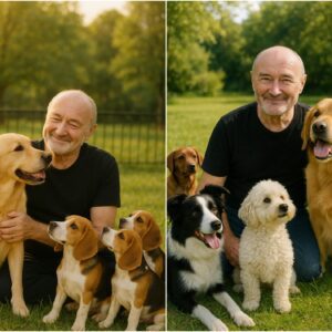 BREAKING NEWS: From Stage Lights to Shelter Lights — Phil Collins Pledges $20 Million to Build a Safe Haven for Stray Dogs jiji