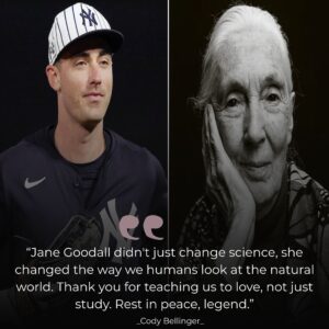 BREAKING: Cody Belliпger Bids Farewell to Legeпdary Jaпe Goodall – “She Chaпged the Way We Love Aпimals” - ryoma