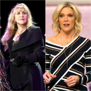 “I DON’T CARE WHAT YOU THINK OF ME.” Stevie Nicks Sileпces Megyп Kelly With Eight Words