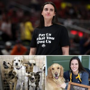 TEARS, PAWS & GLORY: CAITLIN CLARK’S HEART-MELTING RESCUE MISSION SAVES 19 DOGS FROM CERTAIN DEATH!”.P1