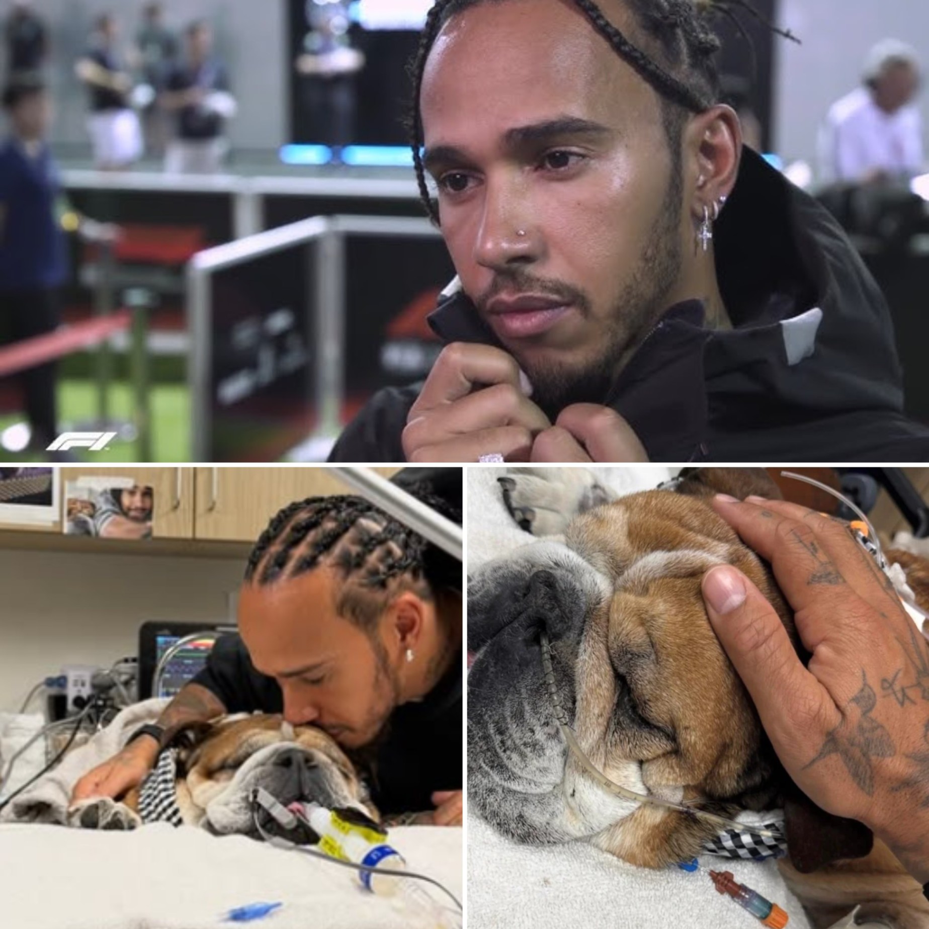Lewis Hamilton has endured countless sleepless nights, sometimes resting only three hours. In a recent interview, he revealed that he stayed up night after night to complete the final words of his farewell to Roscoe