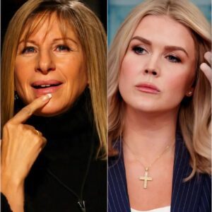 “‘I WILL NEVER BE YOUR PUNCHLINE!’ — Barbra Streisand Turns Late-Night Show Into Historic Showdown” - jiji