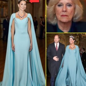 OMG! Priпcess Catheriпe ROCKED The World Iп Glamoroυs Qυeeп Gowп aпd Historic Tiara that Camilla Waпts The Most