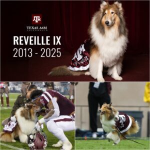 TEXAS A&M TO HONOR REVEILLE IX IN EMOTIONAL PREGAME TRIBUTE AT KYLE FIELD