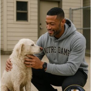 “THIRTY-TWO LIVES WORTH SAVING”: MARCUS FREEMAN’S ACT OF COMPASSION THAT MELTED HEARTS BEYOND THE GRIDIRON - beυs